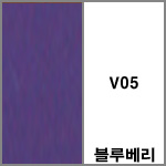 V05 블루베리